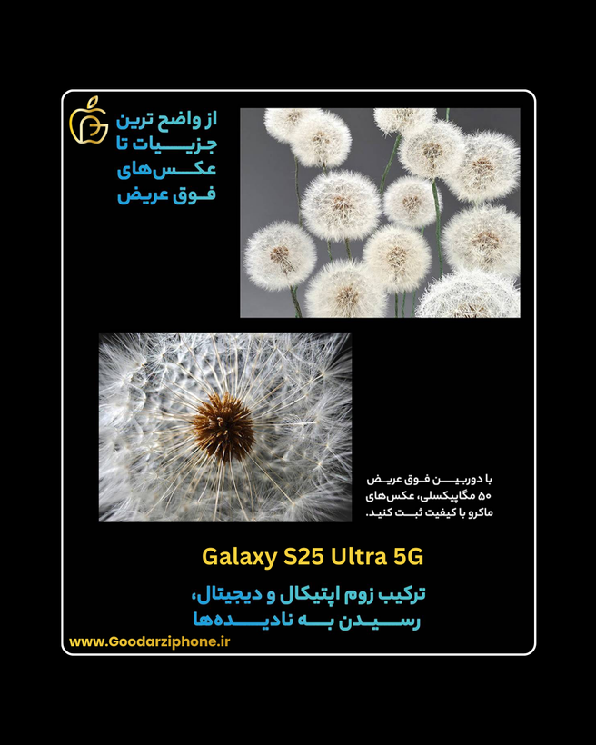 Samsung Galaxy S25 Ultra 5G